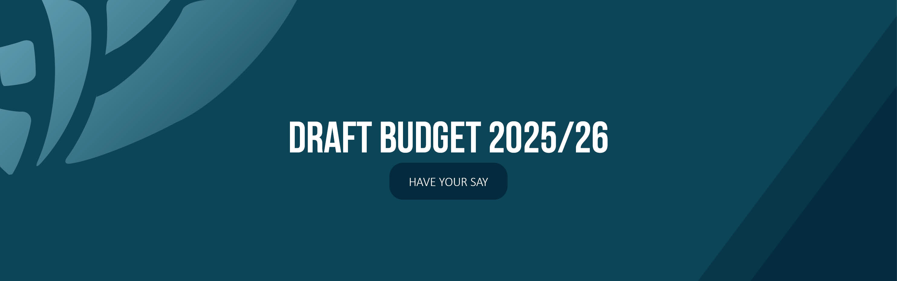 Draft Budget Have Your Say web banner