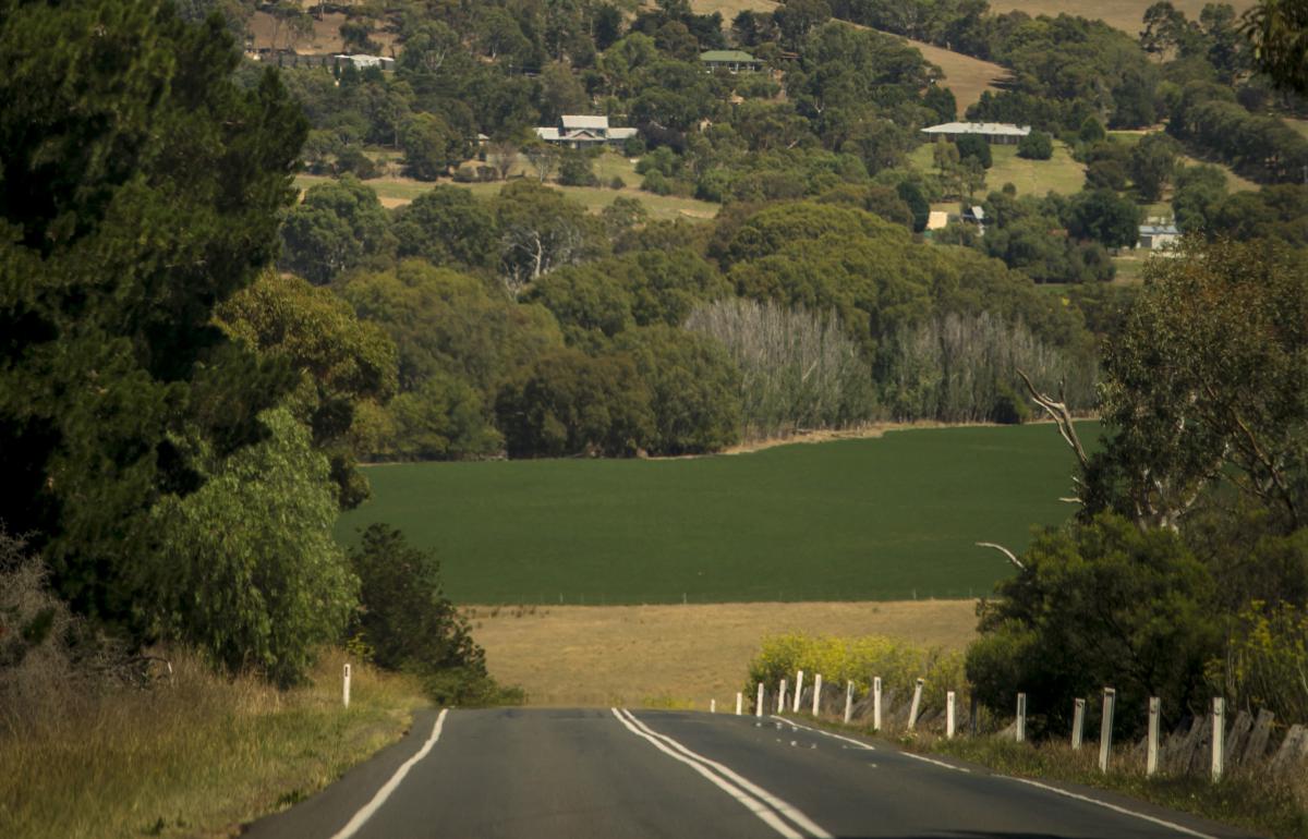 Road with fields in the background