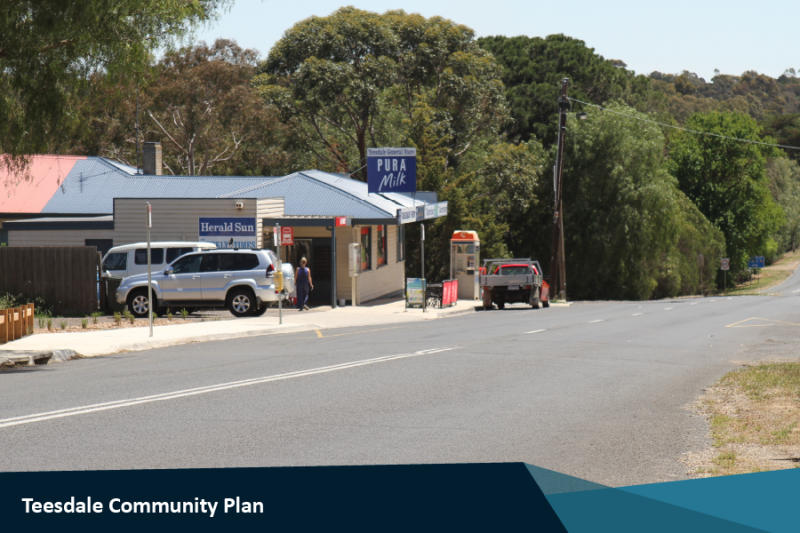 Teesdale Community Plan 