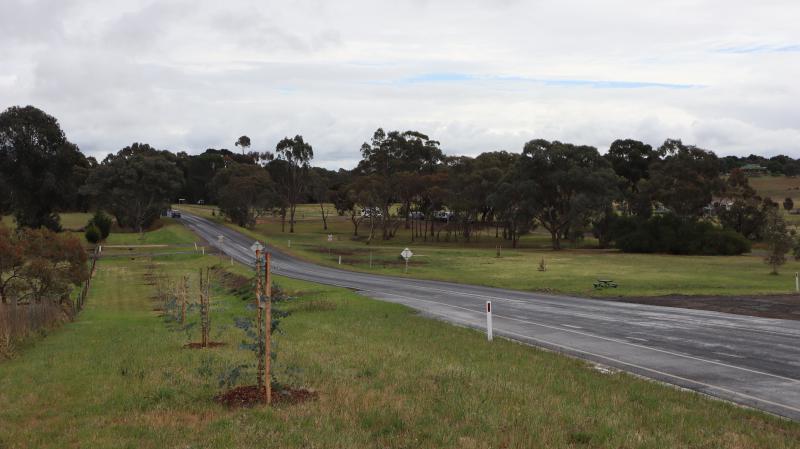 Inverleigh Tree Succession Plan Stage One