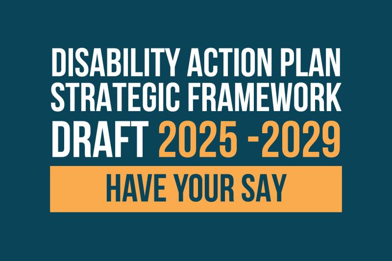 Disability Action Plan Strategic Framework Web