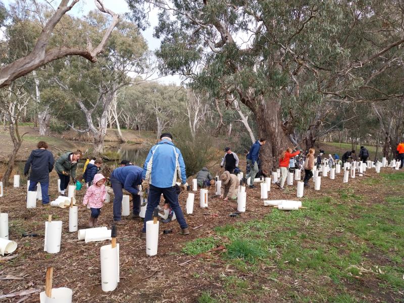 National Tree Day 2024