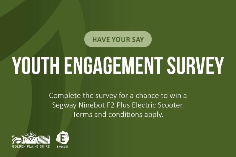 Youth Engagement Survey