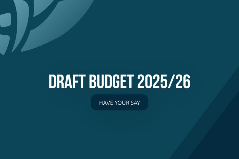 Draft Budget 2025-26 Web Tile