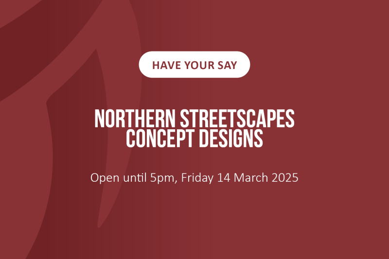 Northern Streetscapes 