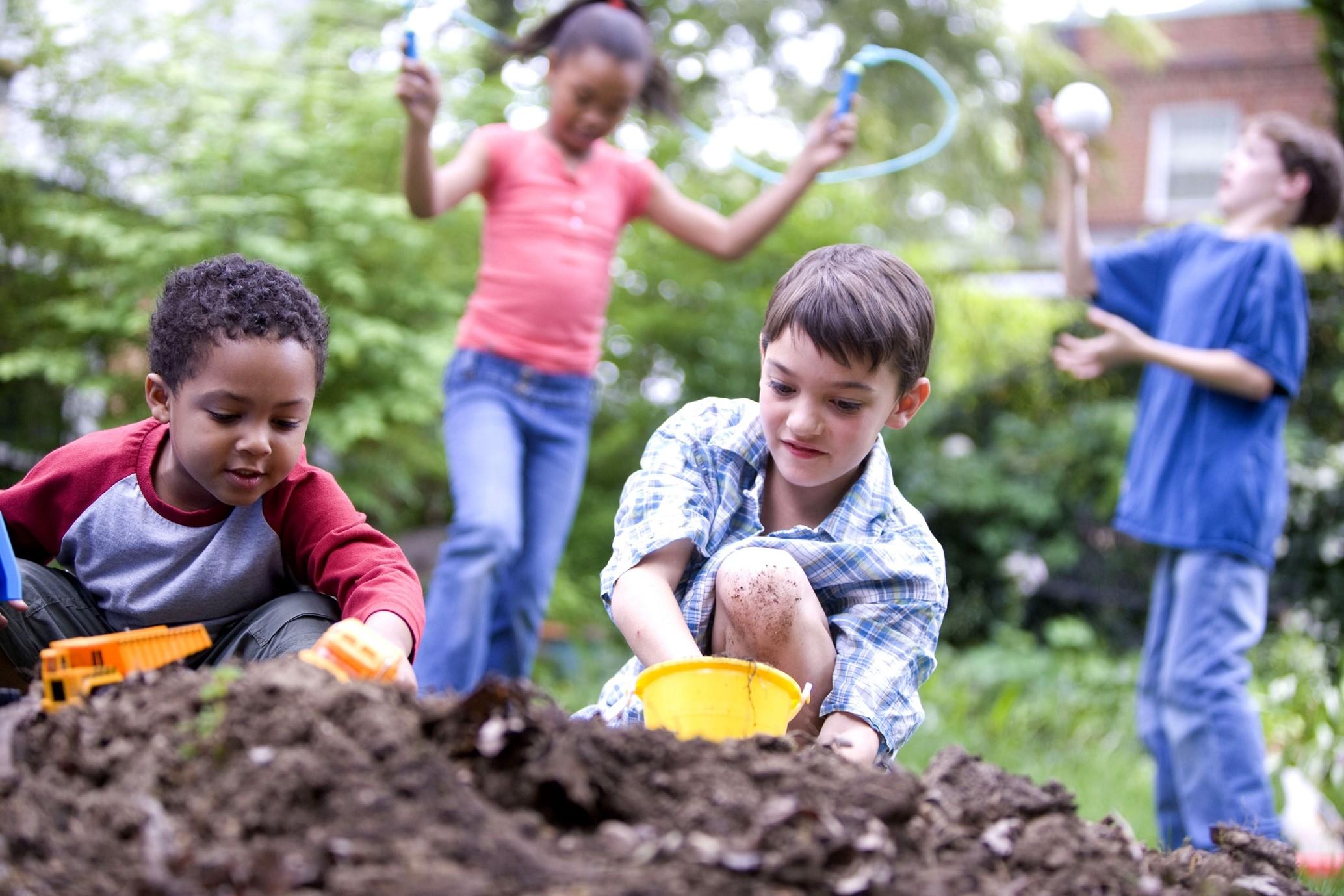 Children playing in the backyard