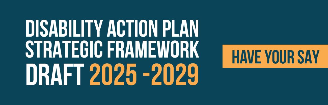 Disability Action Plan Strategic Framework
