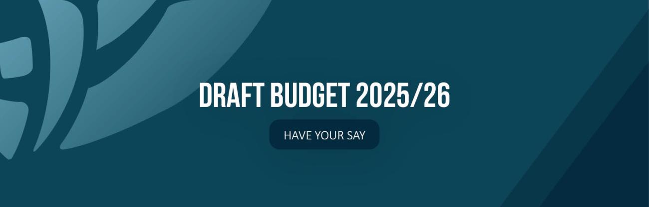 Draft Budget Have Your Say